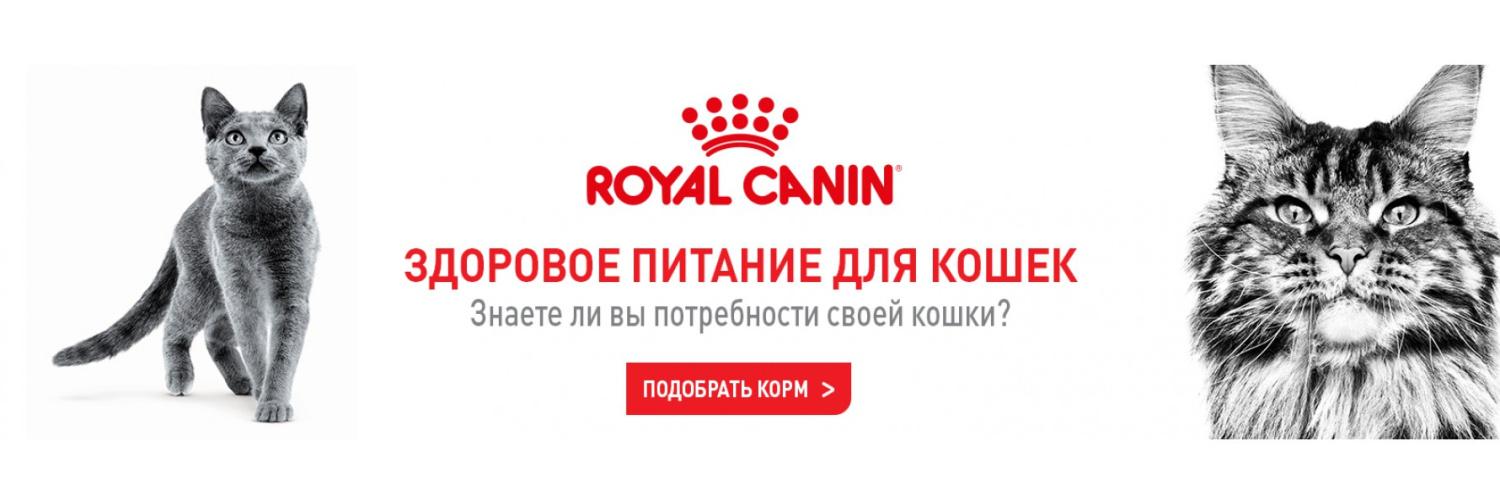 Royal Canin - правильный корм для вашей кошки!